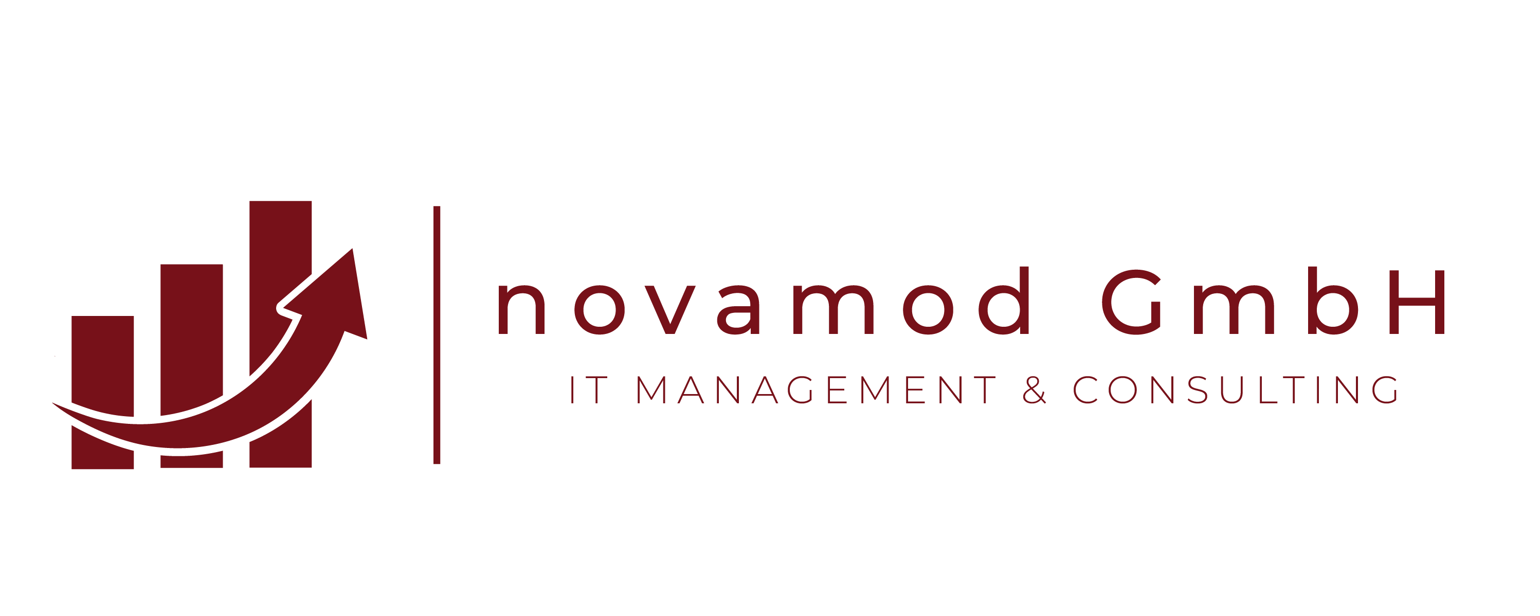 novamod - IT Management & Consulting